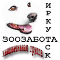 Помощь животным в Иркутске